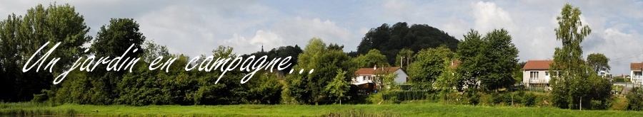 Le jardin des Haies, un jardin en campagne